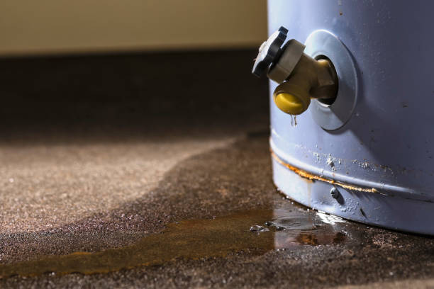 Best Flooded house restoration  in Kingman, KS