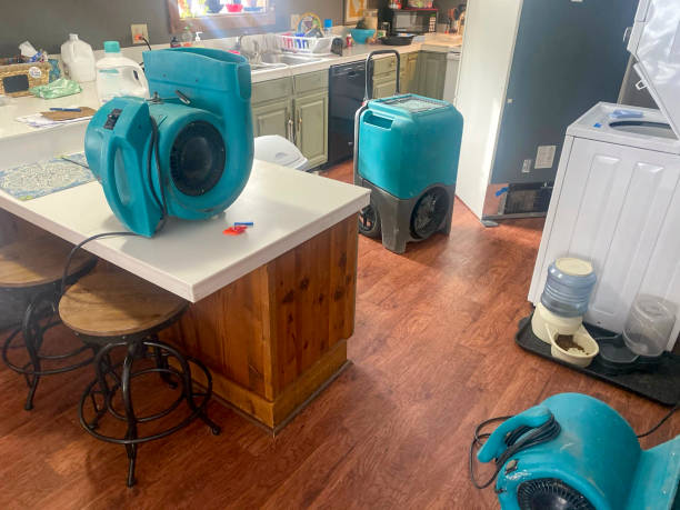 Best Mold removal after water damage  in Kingman, KS