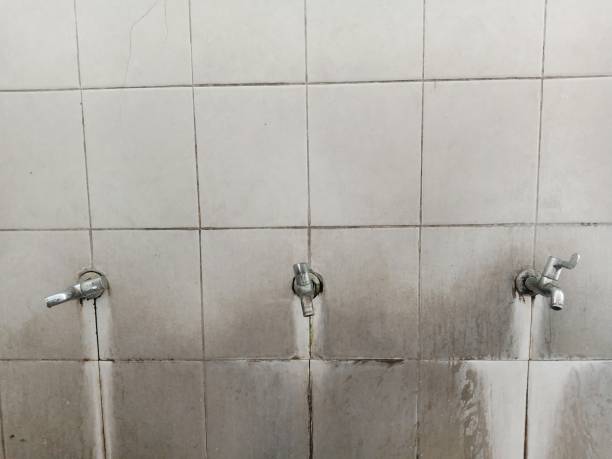 Best Basement water damage restoration  in Kingman, KS