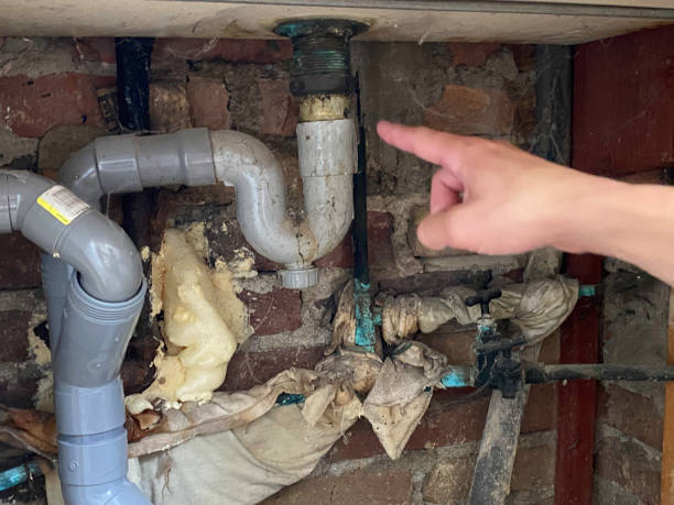 Best Water damage restoration company  in Kingman, KS