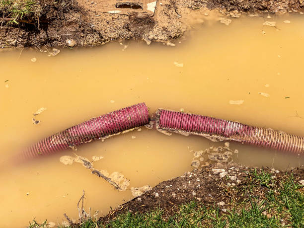 Best Basement water damage restoration  in Kingman, KS